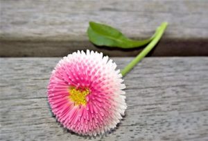 ひとりごと雑記 その2「天理教という宗教と精神修練」