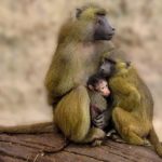 【望ましい休職】過ごし方とその変化について