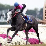 日本競馬史上、最も過小評価されている名馬『ビワハヤヒデ』