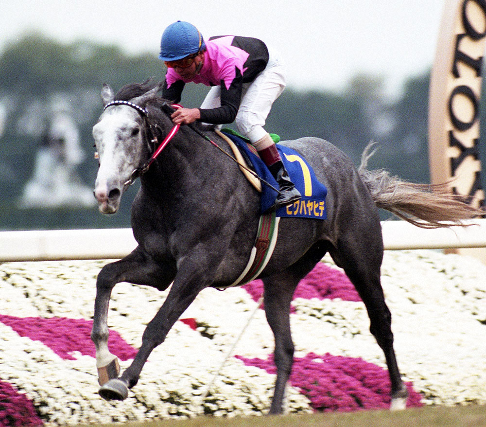日本競馬史上、最も過小評価されている名馬『ビワハヤヒデ』
