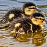 心療内科や精神科へは1人ではなく2人でいく