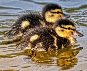 心療内科や精神科へは1人ではなく2人でいく