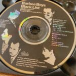 バービーボーイズ「目を閉じておいでよ」